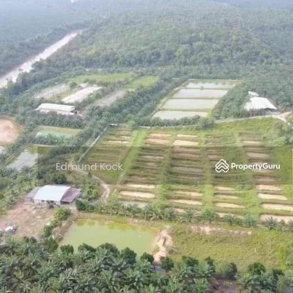 Untuk Dijual - Agriculture Land Village Kota Tinggi