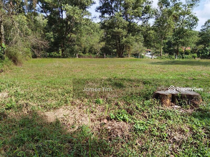 Actual site