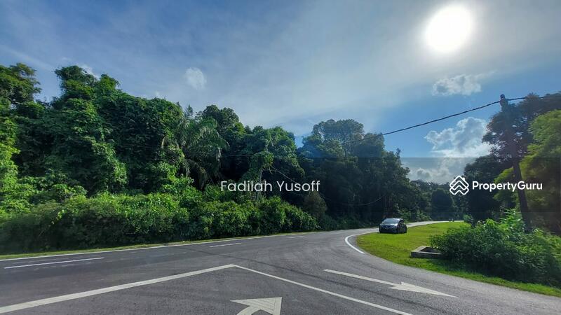 Untuk Dijual - Kelat Rendang Pahang