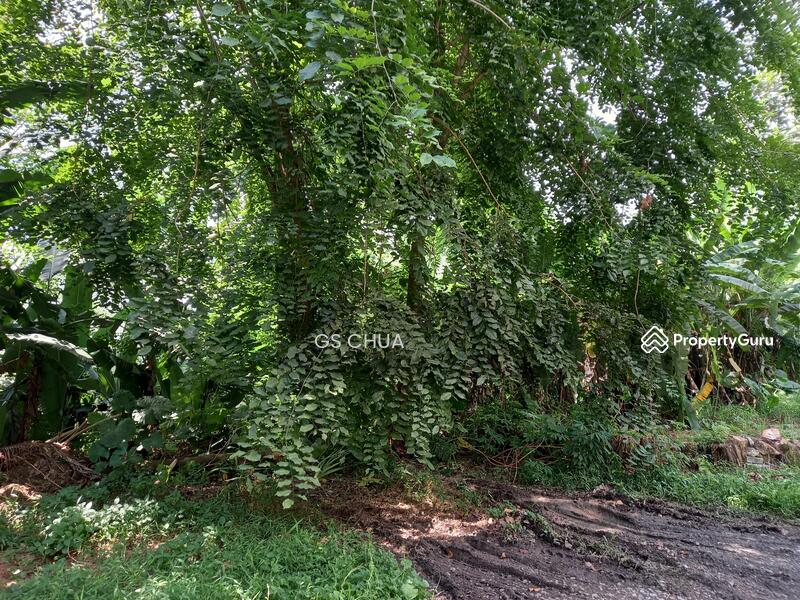 For Sale - Bungalow Land at Bukit Gasing