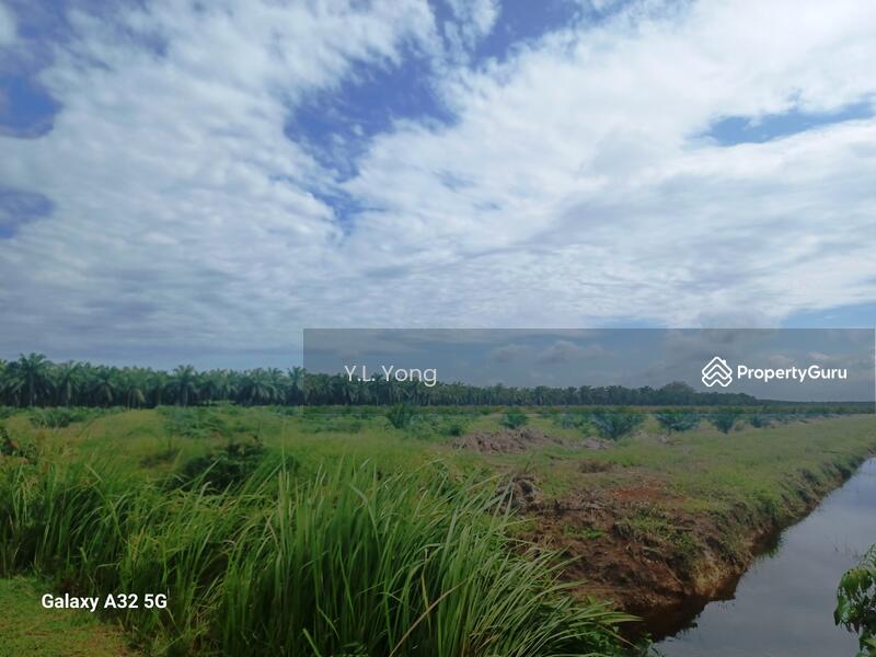 Agricultural Land for Sale in Bukit Rotan (Kuala Selangor) - Y.L. Yong - PropertyGuru.com.my