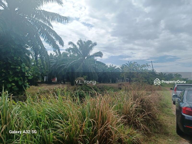 Agricultural Land for Sale in Bukit Rotan (Kuala Selangor) - Y.L. Yong - PropertyGuru.com.my