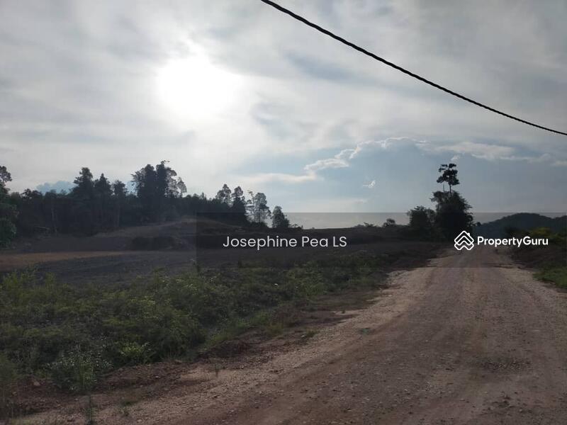 Tanah Pertanian untuk Dijual di Taman Sri Mersing (Mersing) - Josephine Pea LS - PropertyGuru.com.my