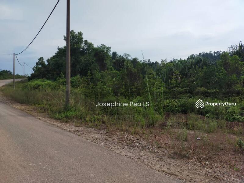 Tanah Pertanian untuk Dijual di Taman Sri Mersing (Mersing) - Josephine Pea LS - PropertyGuru.com.my