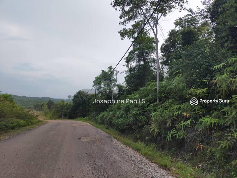 Tanah Pertanian untuk Dijual di Taman Sri Mersing (Mersing) - Josephine Pea LS - PropertyGuru.com.my