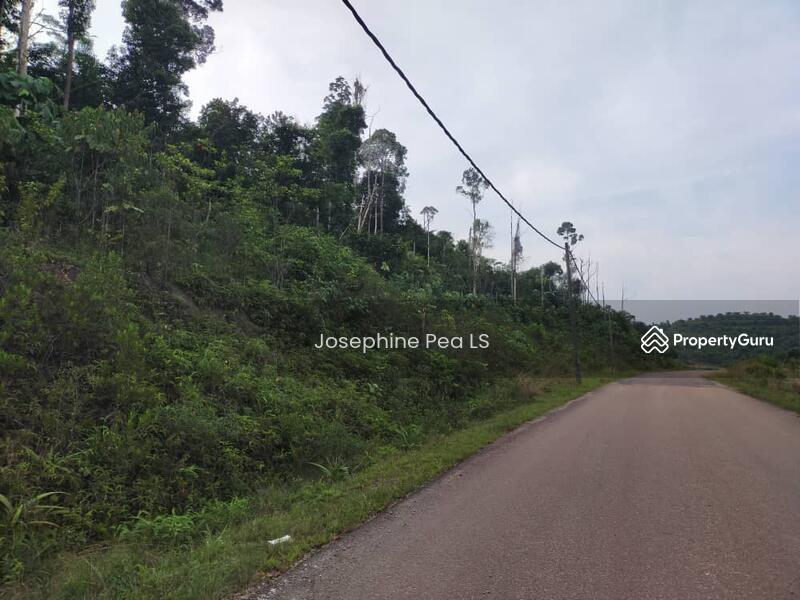 Tanah Pertanian untuk Dijual di Taman Sri Mersing (Mersing) - Josephine Pea LS - PropertyGuru.com.my