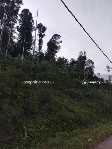 Tanah Pertanian untuk Dijual di Taman Sri Mersing (Mersing) - Josephine Pea LS - PropertyGuru.com.my