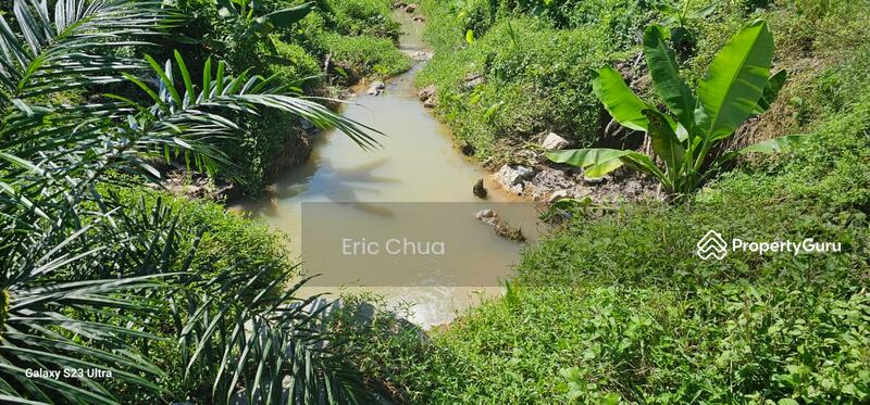 Untuk Dijual - 5.03749 acres new planted palm oil land at Siputeh,Perak