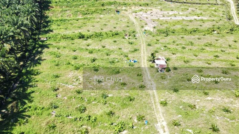Untuk Dijual - 5.03749 acres new planted palm oil land at Siputeh,Perak
