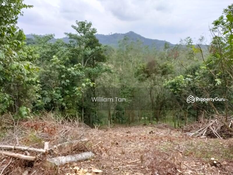 Old Photo after clearing (June 2020)