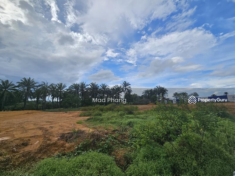Bungalow Land next to Gold Club IOI Kulai, Kulai, Johor, , , Residential Land For Sale, by Mad