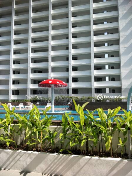 Condominium for Sale at Ramah Pavilion, Teluk Kumbar, Bayan Lepas, Penang. - Pen Teo - PropertyGuru.com.my