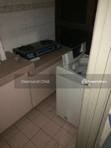 For Rent - Evergreen Park Scot Pine