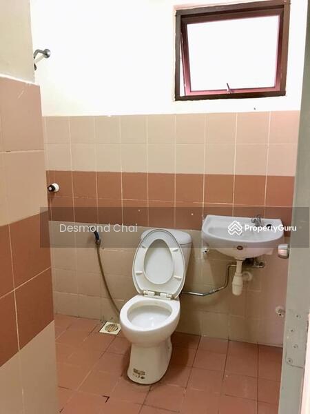 For Rent - Evergreen Park Scot Pine