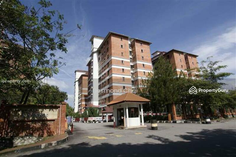 For Rent - Evergreen Park Scot Pine