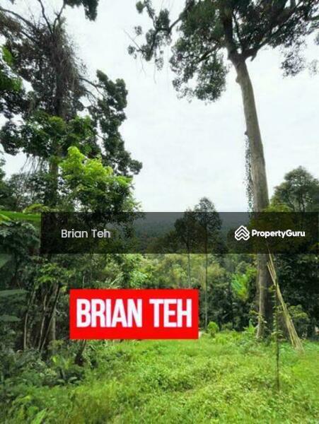 For Sale - AGRICULTURE LAND Durian SALE BALIK PULAU