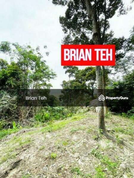 For Sale - AGRICULTURE LAND Durian SALE BALIK PULAU