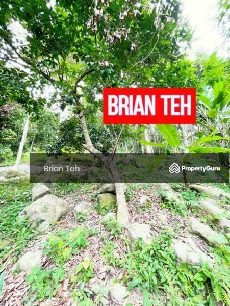 For Sale - AGRICULTURE LAND Durian SALE BALIK PULAU