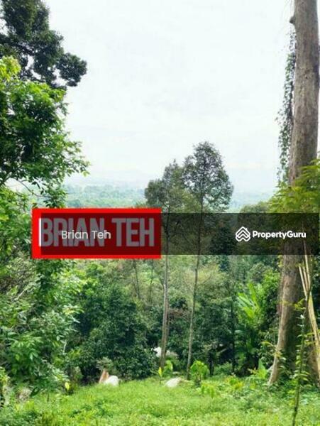 For Sale - AGRICULTURE LAND Durian SALE BALIK PULAU