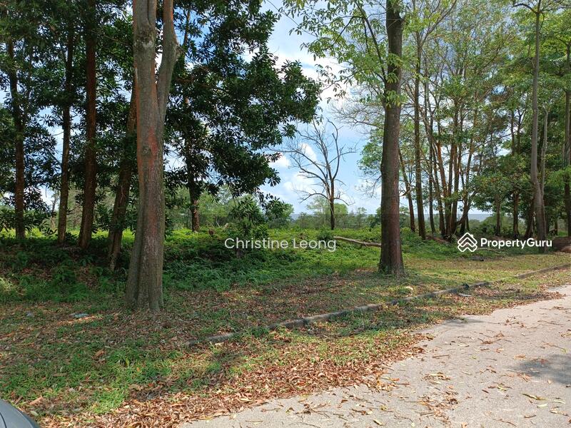 Tanah Kediaman untuk Dijual di Masai (Johor) - Christine Leong - PropertyGuru.com.my