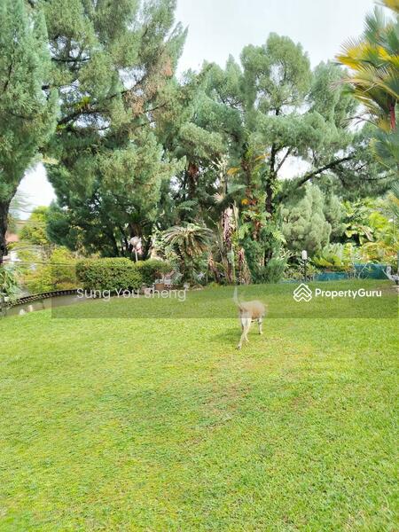 For Sale - Jalan Taman Pantai, Bukit pantai