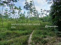 For Sale - 6.5 acres Rubber Plantation @ Kampung Poh, Mukim Bidor, Perak