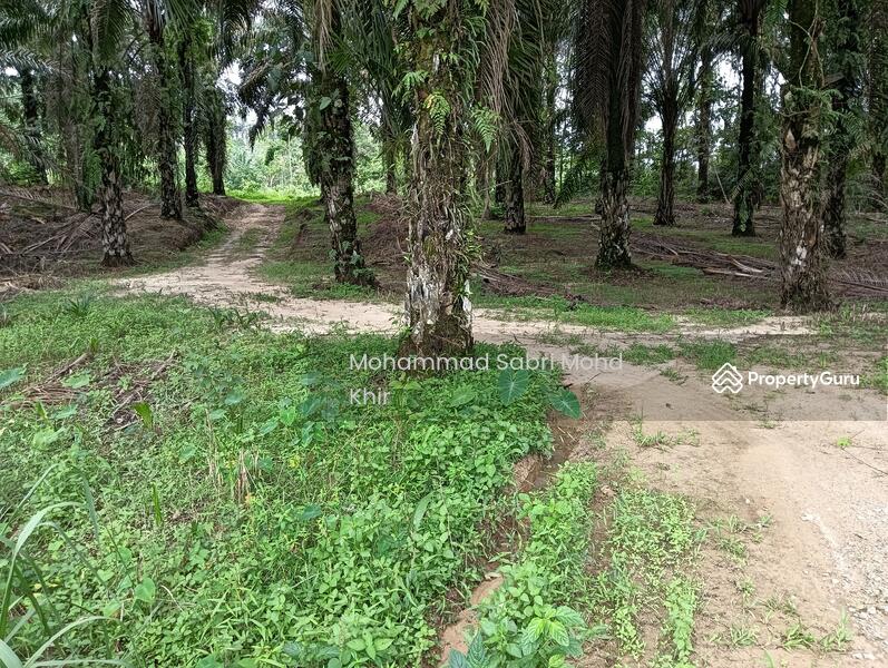 Flat access road. 