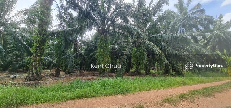 Industrial Land for Sale in Ijok (Selangor) - Kent Chua - PropertyGuru.com.my