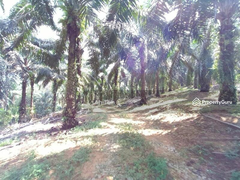 Kulai Agricultural Land For Sale, Jalan Kulai Kota Tinggi, Kulai, Johor, , , Agricultural Land