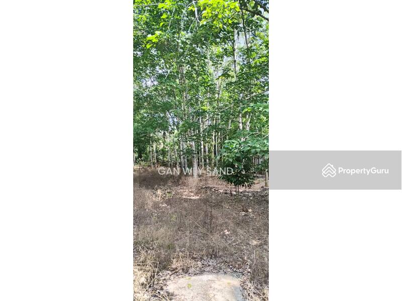 For Sale - Mukim Glami Lemi, 71600, Jelebu, Negeri Sembilan