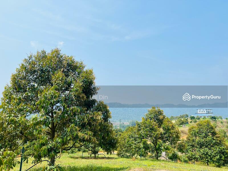 Untuk Dijual - Freehold Durian Orchard at Pengkalan Hulu Perak
