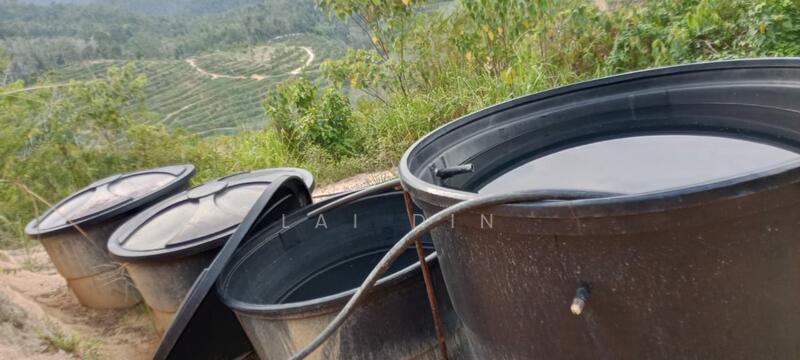 Untuk Dijual - Freehold Durian Orchard at Pengkalan Hulu Perak
