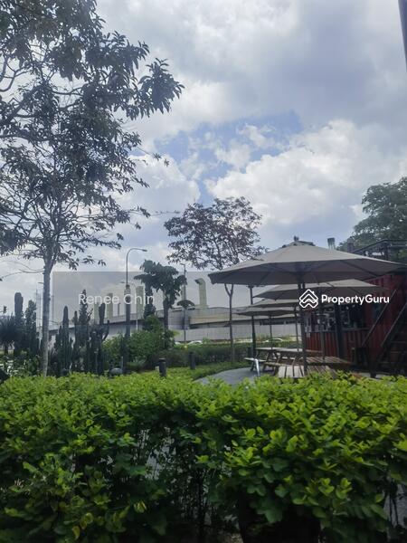 For Rent - Rain Tree Rain @Duta North
