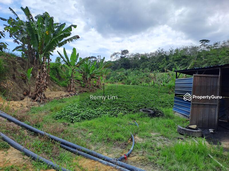 Jalan Sungai Lalang, Semenyih land, Kajang land, agricultural land