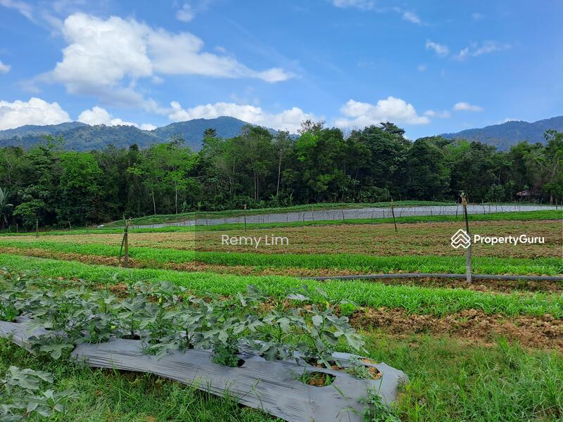 Jalan Sungai Lalang, Semenyih land, Kajang land, agricultural land