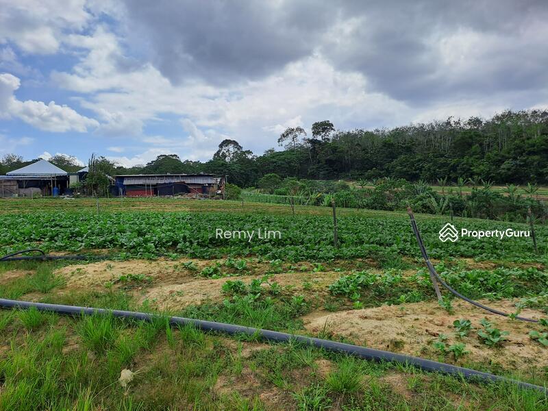Jalan Sungai Lalang, Semenyih land, Kajang land, agricultural land