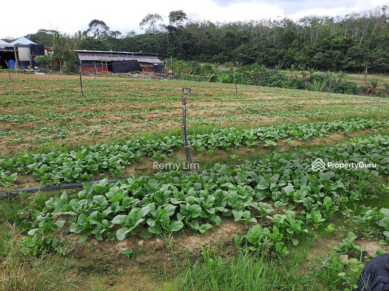Jalan Sungai Lalang, Semenyih land, Kajang land, agricultural land