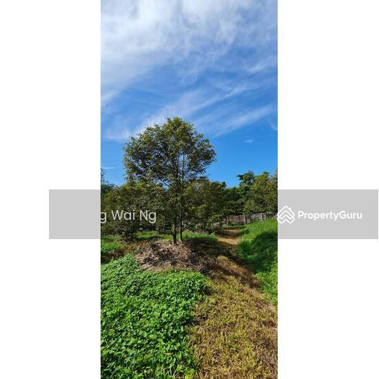 Perak Tanjung Malim, Slim River (Ref 671), Tanjung Malim, Perak