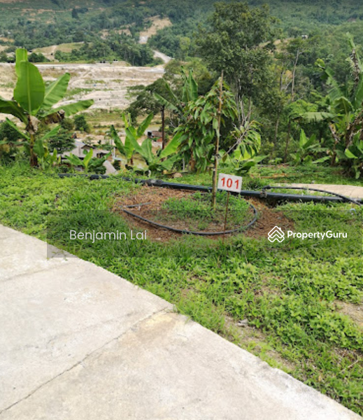 The Valley Bentong, Karak Pahang Agriculture Land For Sale, The Valley