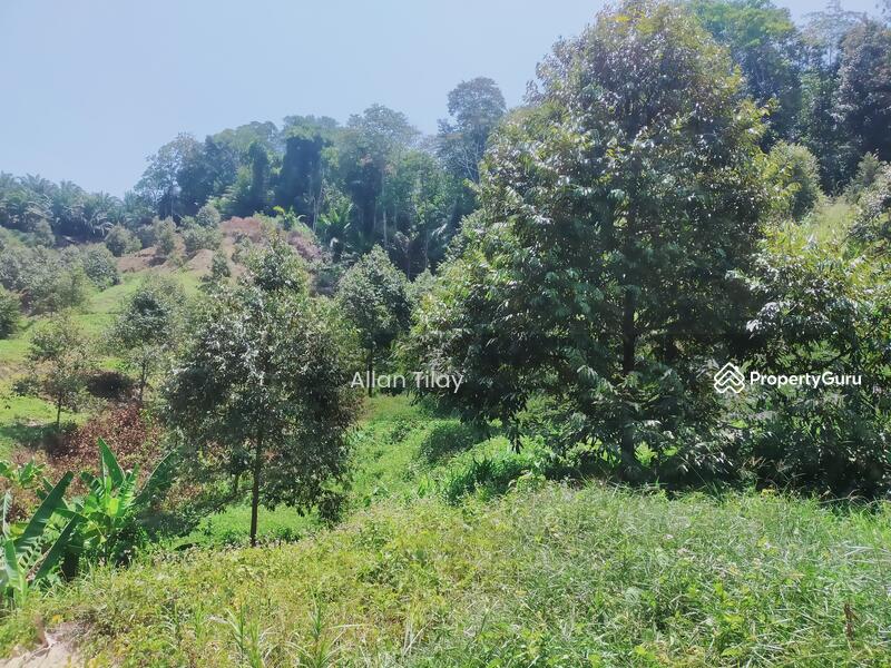 Sungai Siput Durian Land, Sungai Siput, Kuala Kangsar, Perak