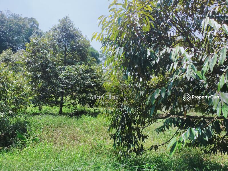 Sungai Siput Durian Land, Sungai Siput, Kuala Kangsar, Perak