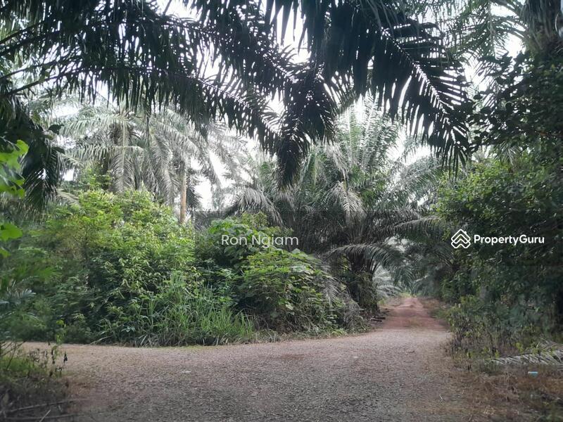 Untuk Dijual - Residential land at Telok Panglima Garang