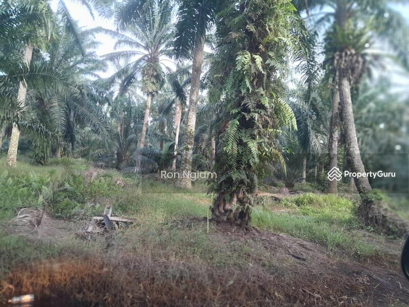 Untuk Dijual - Residential land at Telok Panglima Garang