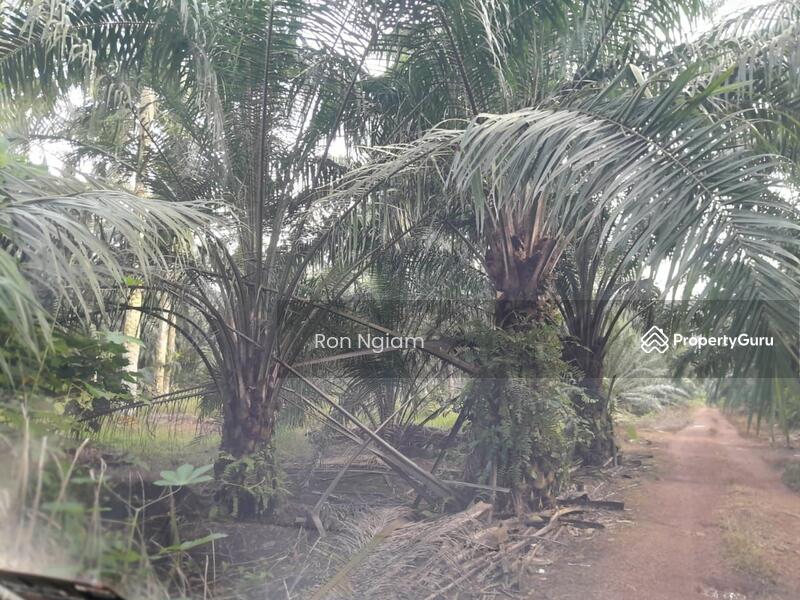Untuk Dijual - Residential land at Telok Panglima Garang
