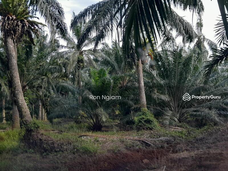 Untuk Dijual - Residential land at Telok Panglima Garang