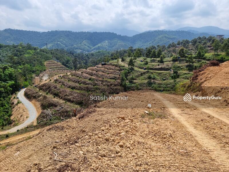 Agricultural Land for Sale in Bentong (Pahang) - Satish Kumar - PropertyGuru.com.my