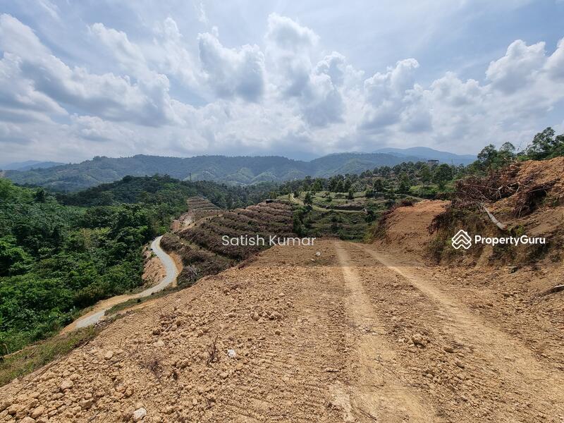 Agricultural Land for Sale in Bentong (Pahang) - Satish Kumar - PropertyGuru.com.my