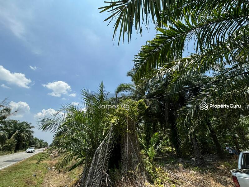 For Sale - seri cheeding
