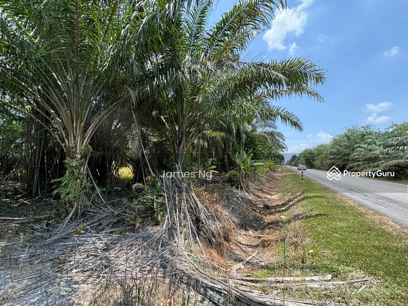 For Sale - seri cheeding