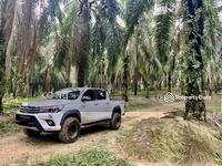 For Sale - Gerik, Hulu Perak Agricultural Land, Rubber Oil Palm Trees.